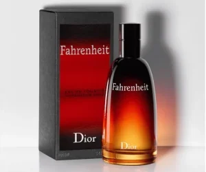 Fahrenheit Dior Eau de Toilette - Perfume Masculino 100ml